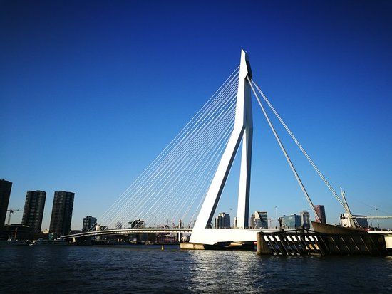Erasmusbrug